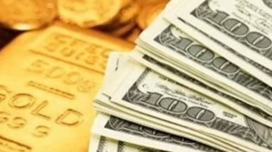 العملات الأجنبية والذهب 