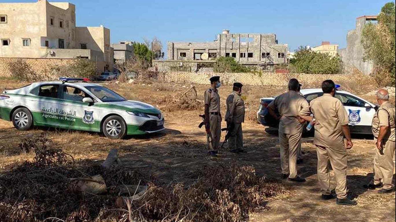 غابات الجبل الأخضر 