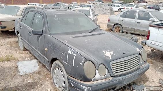 مزاد العريش 