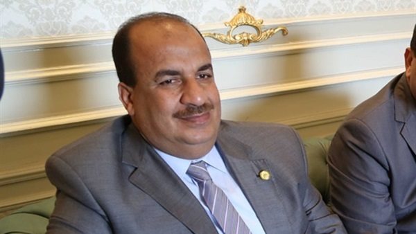الدكتور محمد عبد الحميد، عضو مجلس النواب