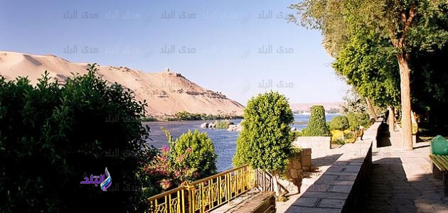 حديقة النباتات فى أسوان