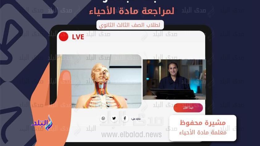 منصة حصص مصر