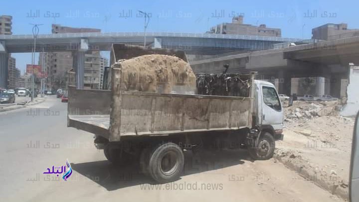 رفع ٩٢٩١ طن مخلفات من شوارع أحياء الجيزة