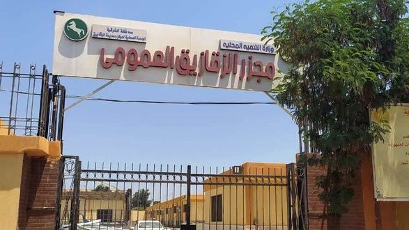 مجزر الزقازيق