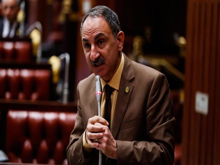  النائب مجدى ملك، عضو لجنة الزراعة بمجلس النواب