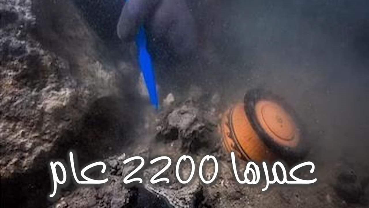 السفينة المصرية
