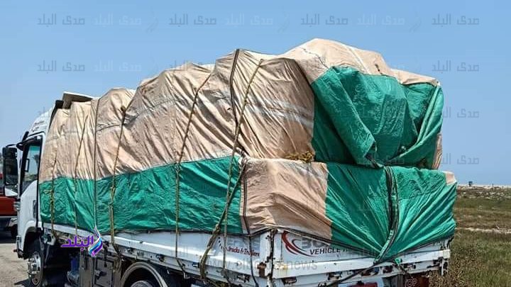 سيارة محملة بزريعة أسماك