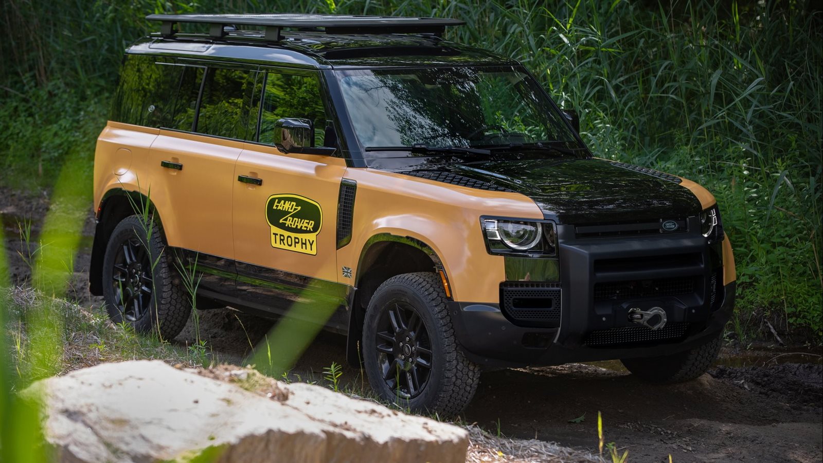 نسخة ديفندر تروفي 2022