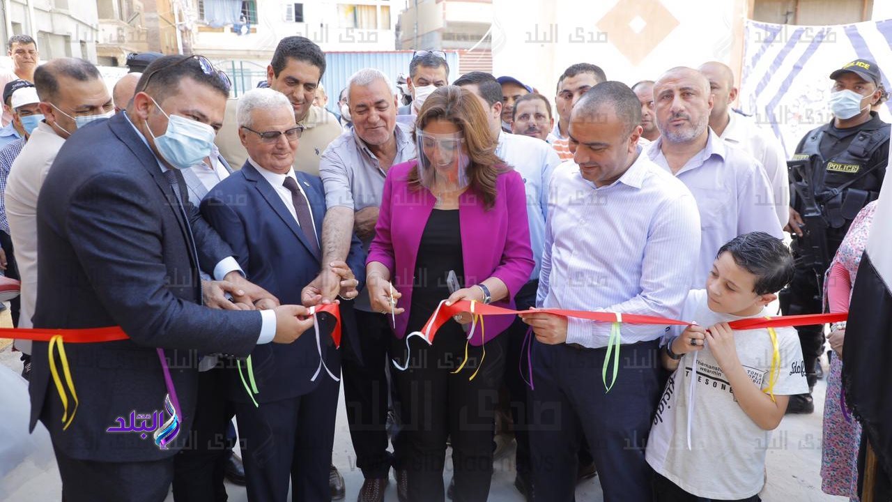 محافظ دمياط