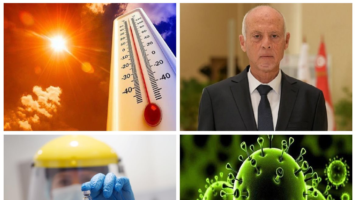 اخبار التوك شو 