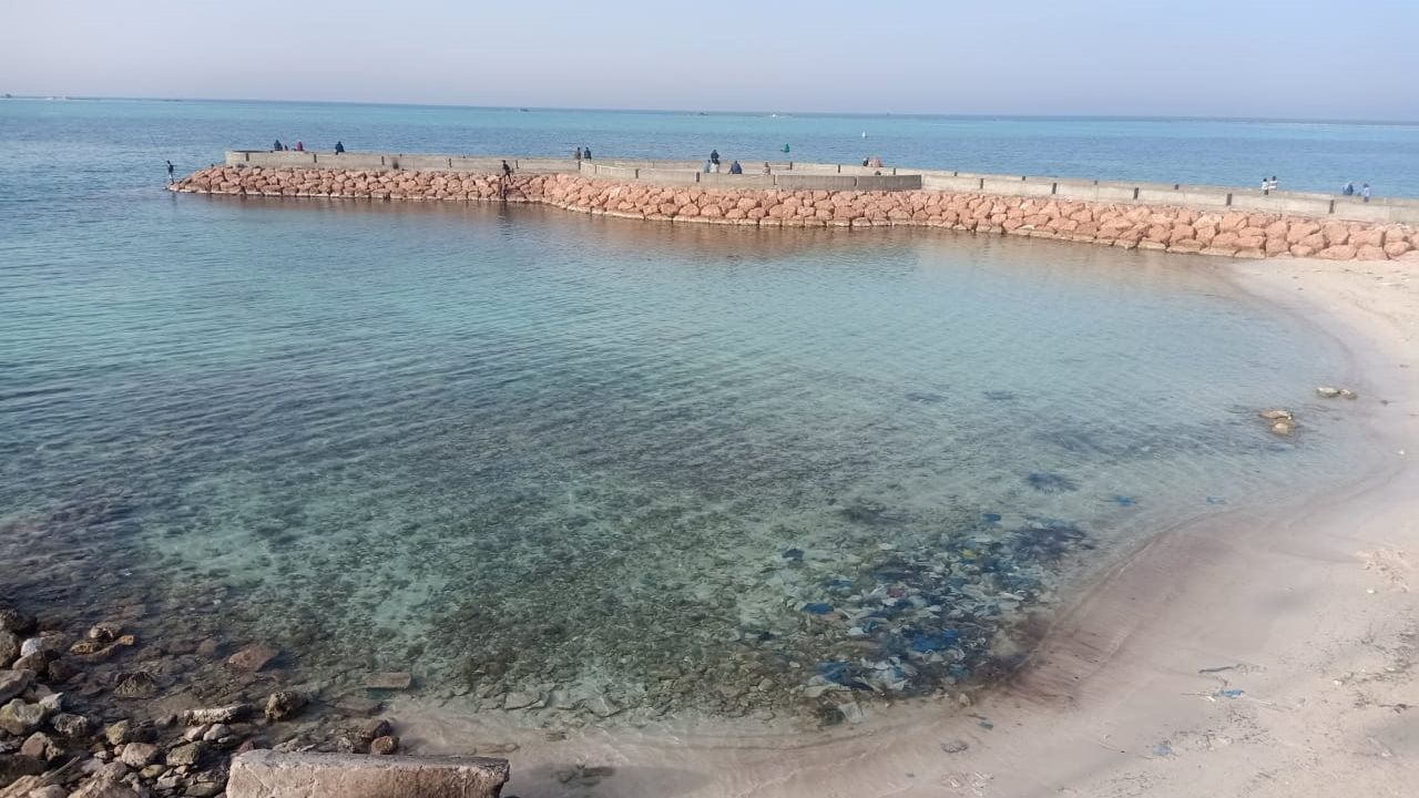 الالستة البحرية