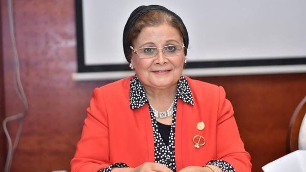 عبلة الألفي، عضو لجنة الصحة بمجلس النواب