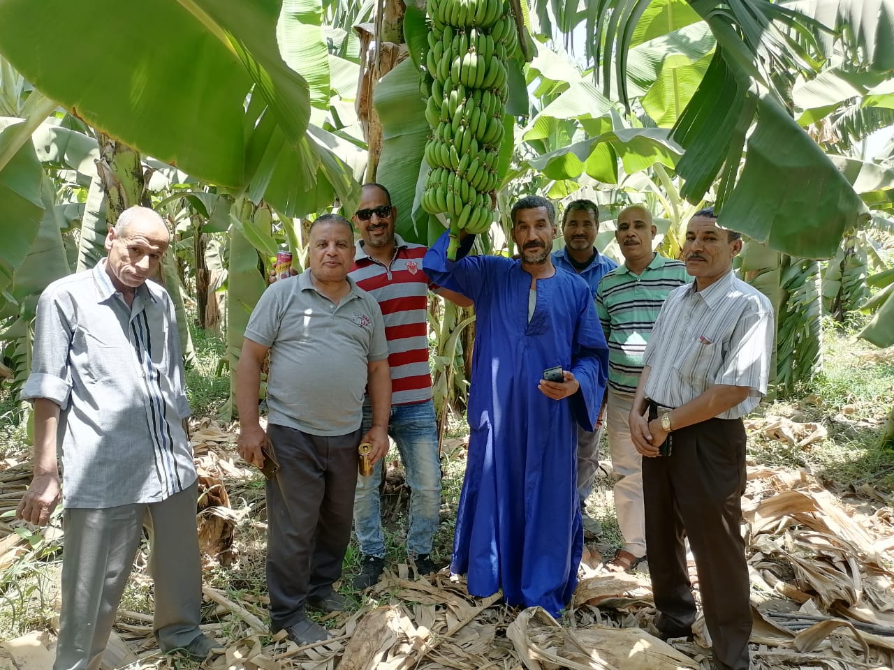 "الزراعة"  تواصل تقديم الدعم الفني والخدمات الارشادية 