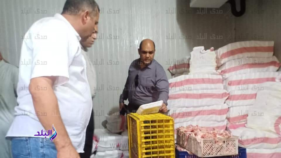 رئيس مدينة بيلا