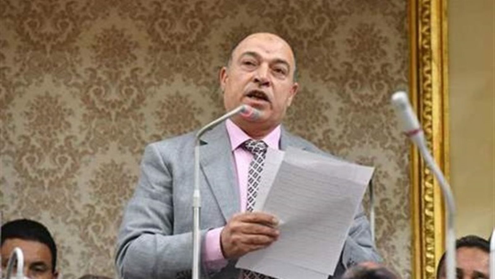 حسن المير،عضو مجلس النواب 