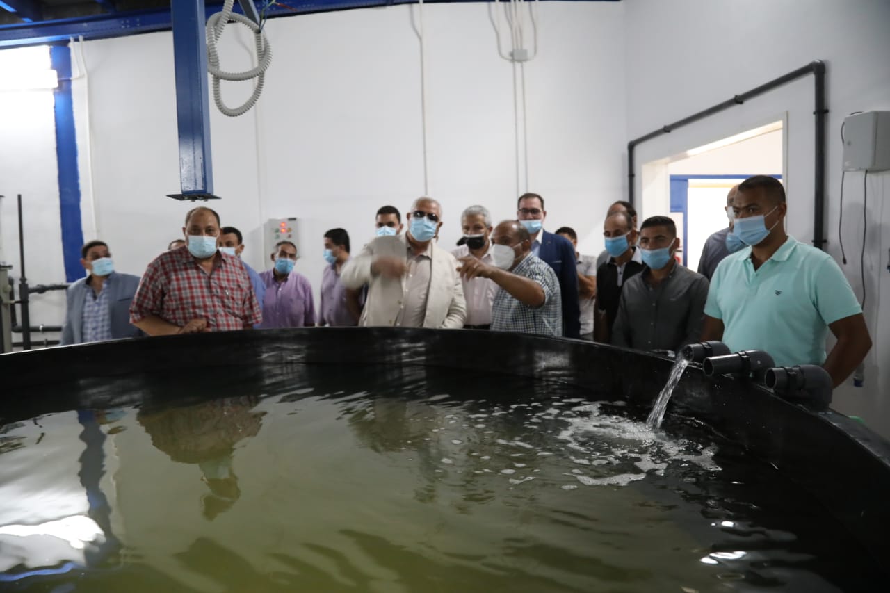 القصير: اعمال التطوير تساهم في توفير الزريعة للمزارع القصير: اعمال التطوير تساهم في توفير الزريعة للمزارع