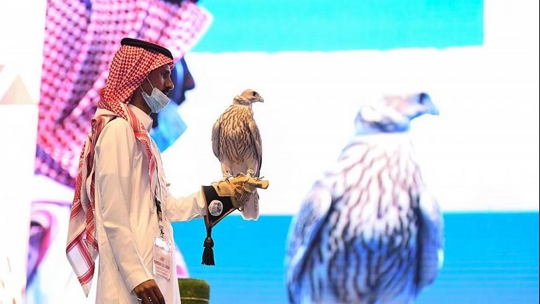 أغلى صقر في الشرق الأوسط أغلى صقر في الشرق الأوسط