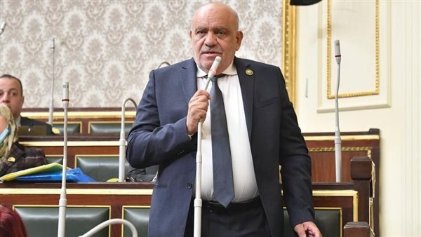 النائب سيد حنفى طه عضو مجلس النواب