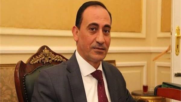 محمد عبد الله زين الدين، عضو مجلس النواب
