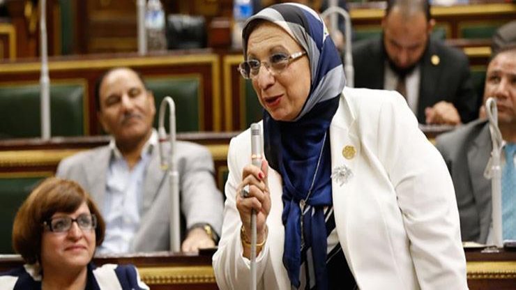 النائبة إيناس عبدالحليم