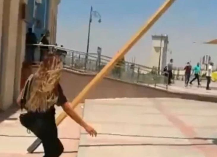 دينا الشربينى