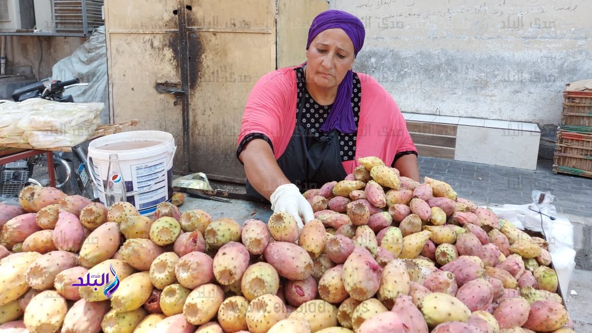 أم هانى أشهر بائعة تين شوكى