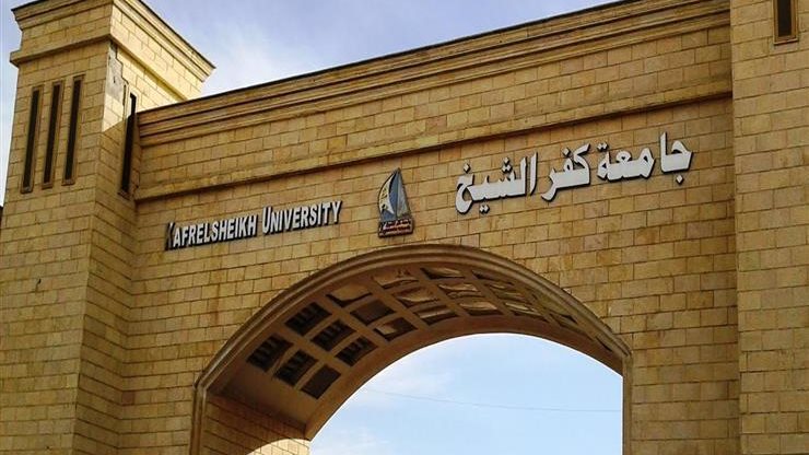 جامعة كفر الشيخ 