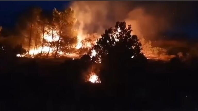 611601334c59b720d447432f