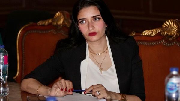 إيرين سعيد ،عضو لجنة الصحة بمجلس النواب