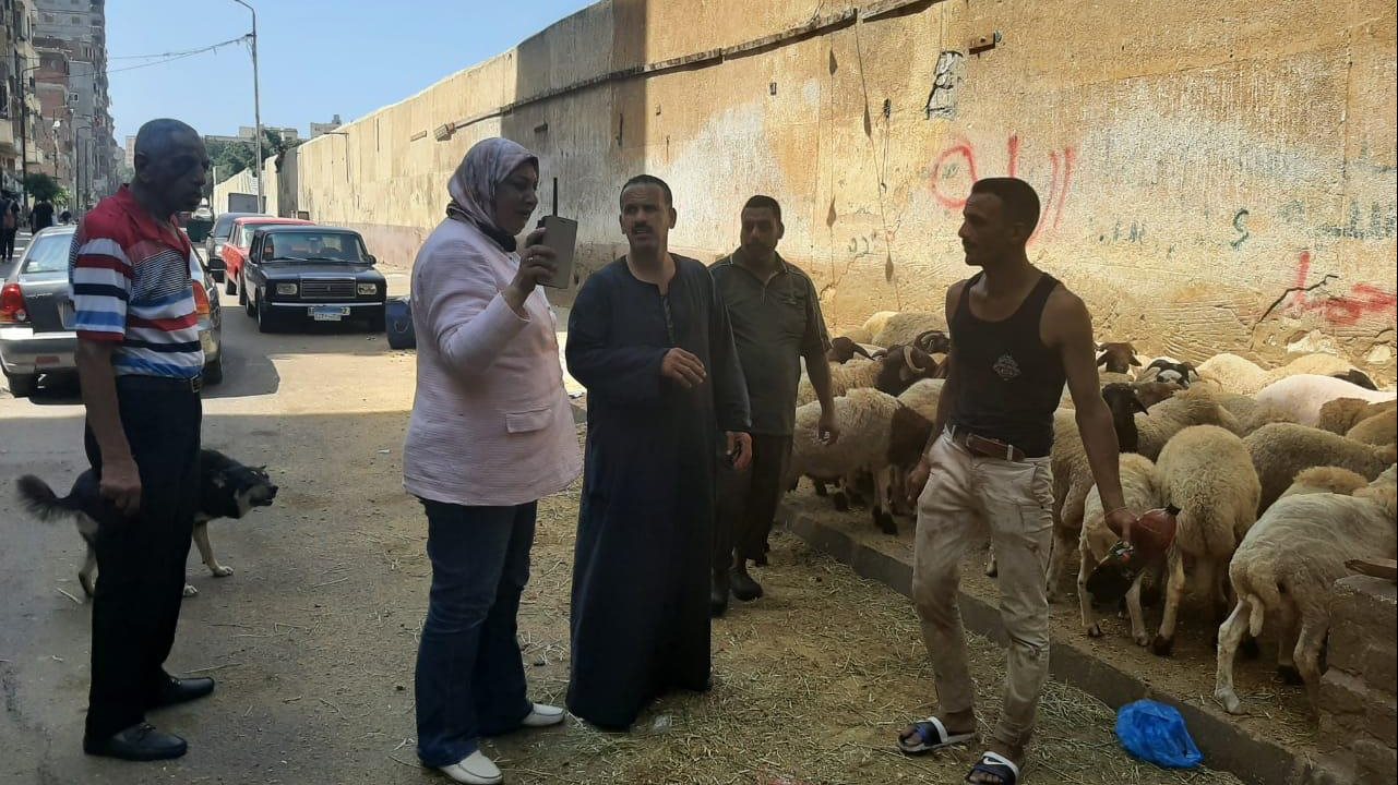 حملة مكبرة لإزالة الاشغالات بسور مقابر العامود