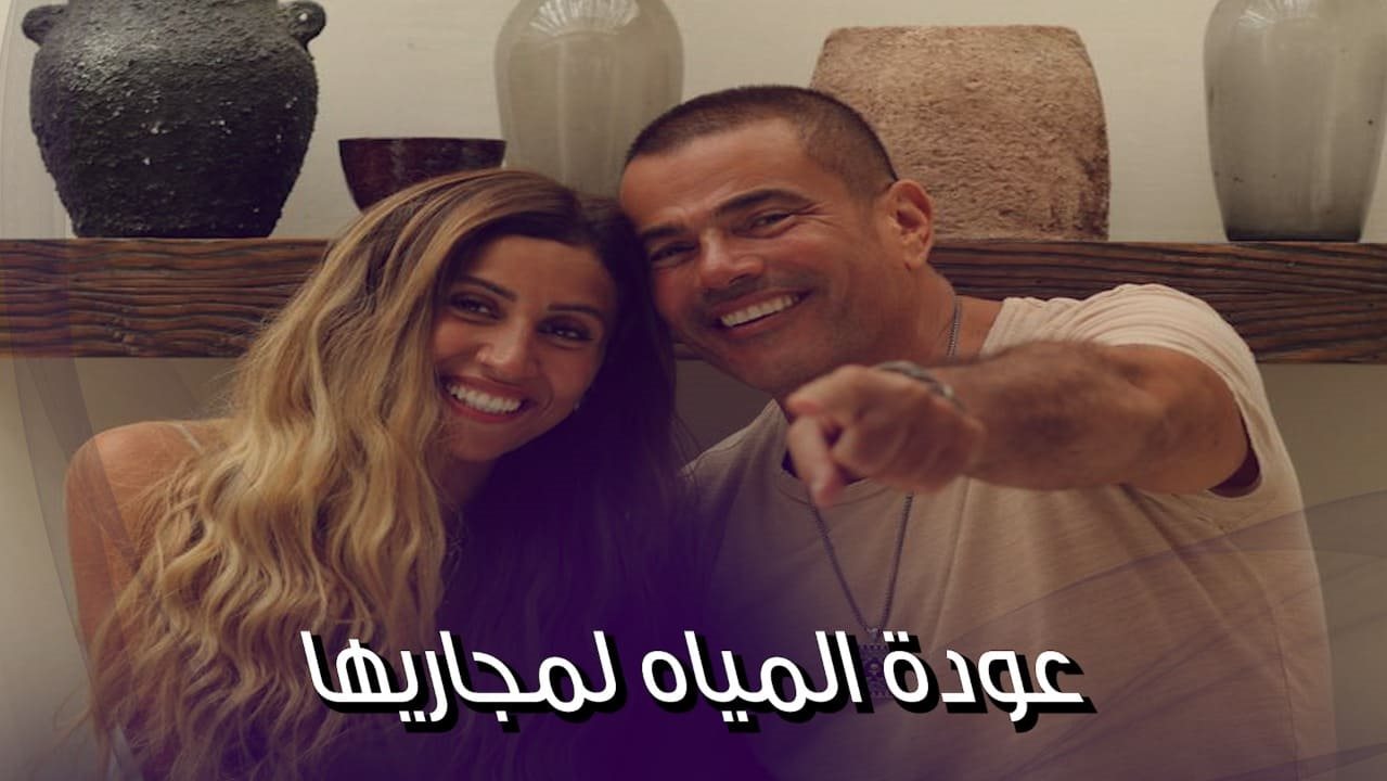 عمرو دياب ودينا الشربيني