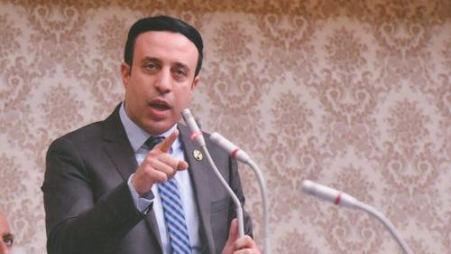 النائب احمد الشناوي عضو مجلس النواب 
