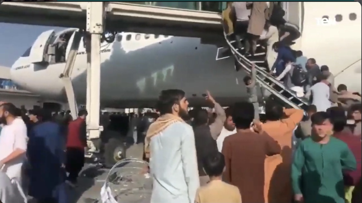 صورة من الفيديو 