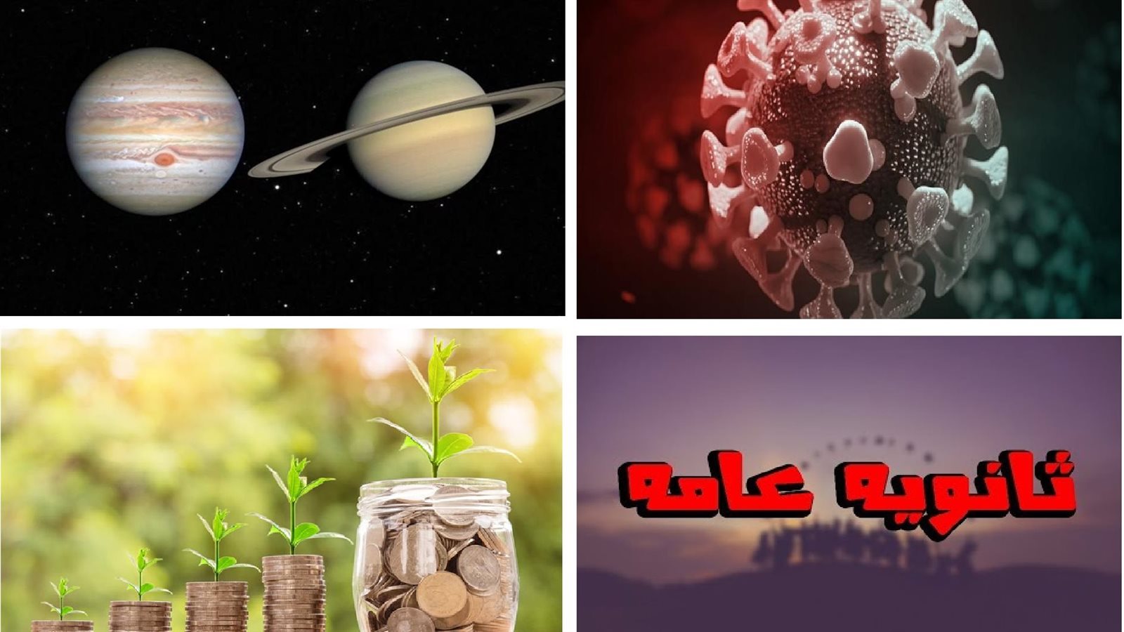 أخبار التوك شو 