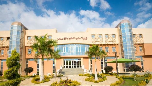 الجامعة المصرية الروسية 