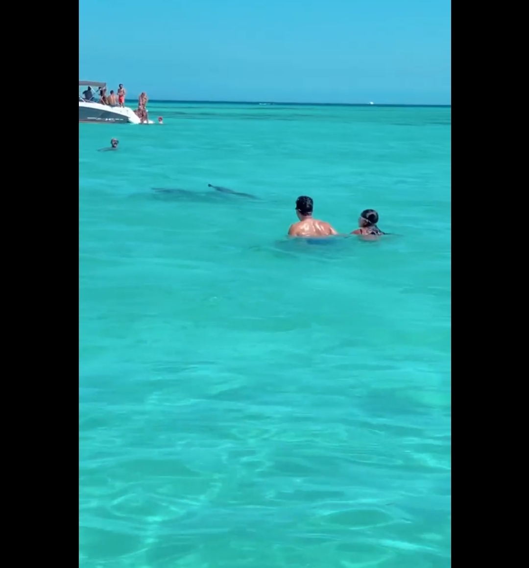 IMG_٢٠٢١٠٨٢١_١٦٥١٥٤