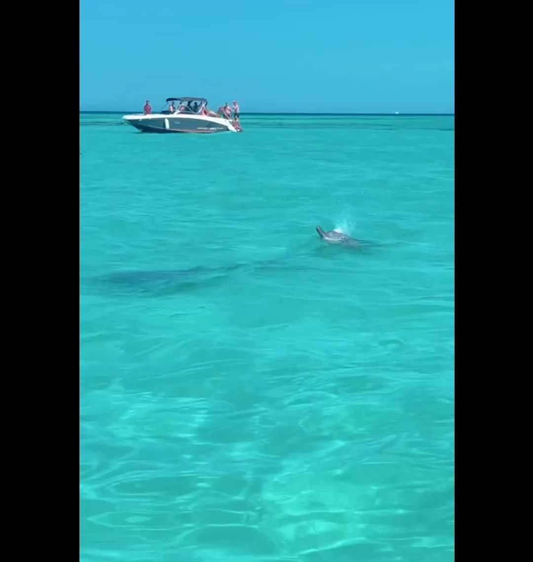 IMG_٢٠٢١٠٨٢١_١٦٥١٤٥