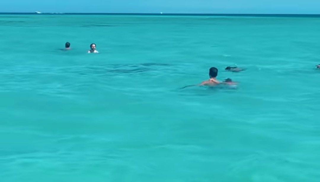 IMG_٢٠٢١٠٨٢١_١٦٤٤٢٦