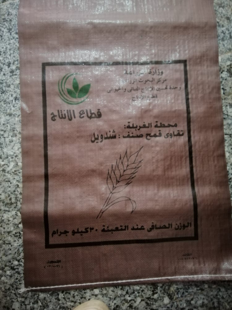 قطاع الانتاج