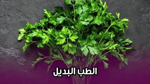 فوائد تناول البقدونس