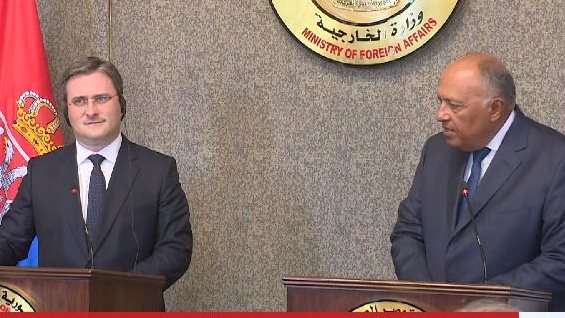 السفير سامح شكري، وزير الخارجية المصري