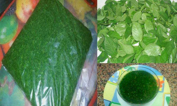 تخزين الملوخية