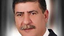  النائب حسام عاشور ، عضو مجلس النواب 