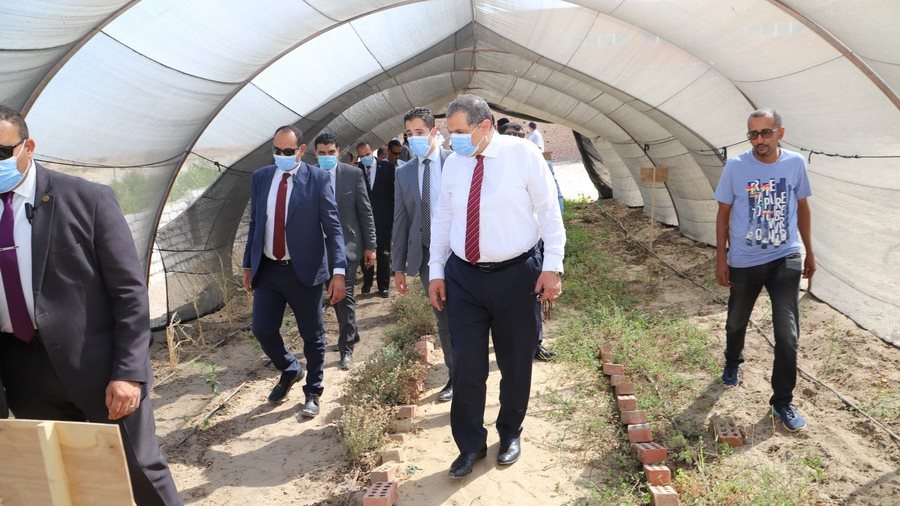 محمد سعفان وزير القوي العاملة 