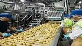 صورة تعبيرية  صورة تعبيرية