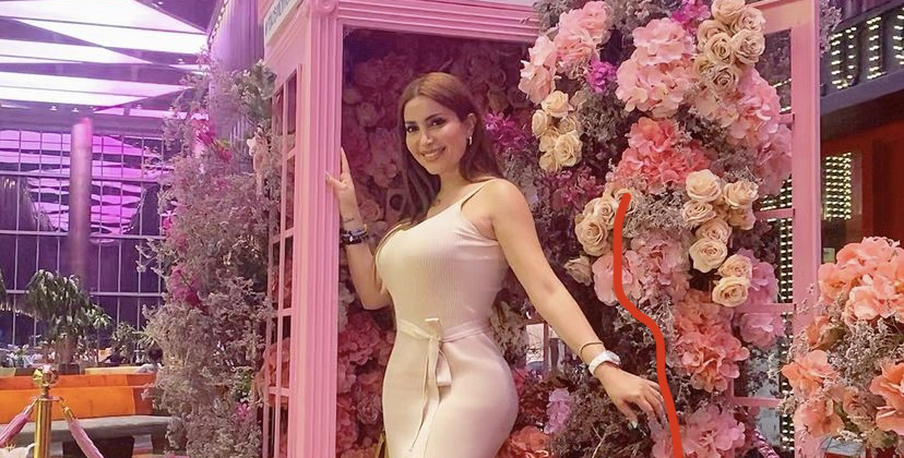 نسرين طافش