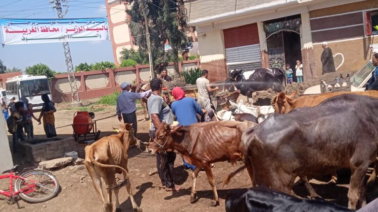 قافلة بيطرية بعزبة عويس التابعة لمركز زفتى 