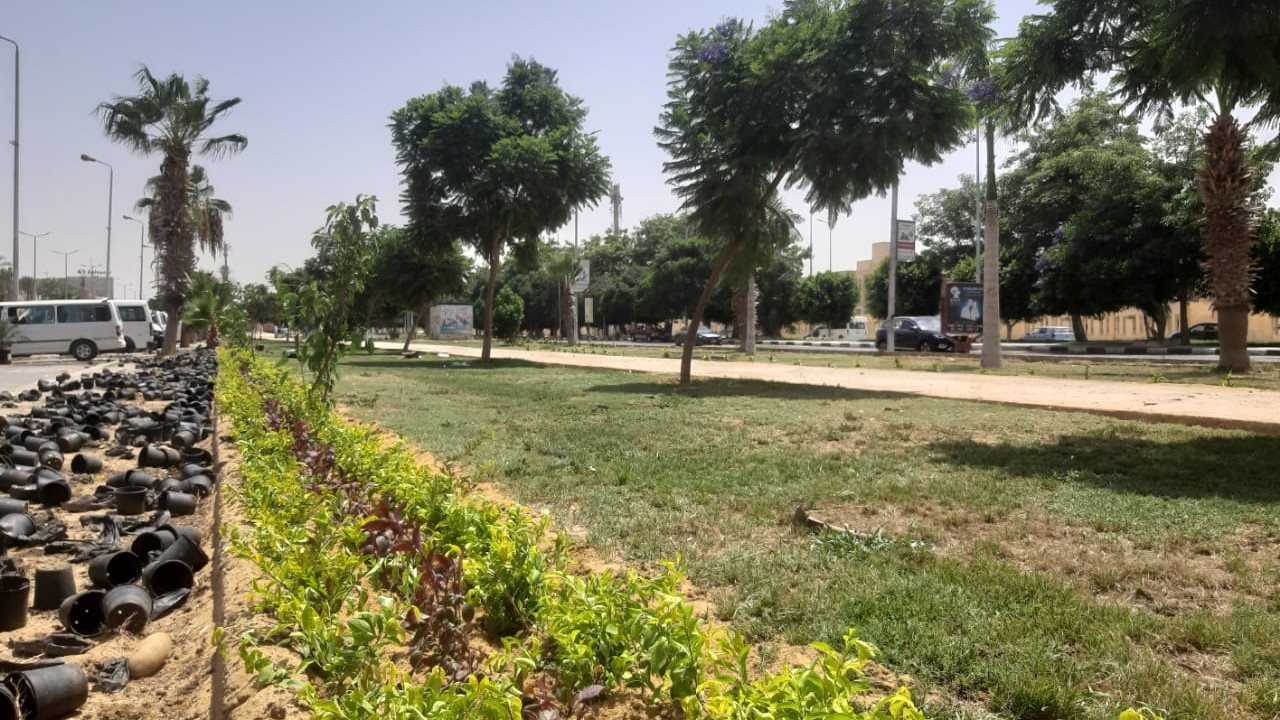 مداخل مدينة الشروق مداخل مدينة الشروق