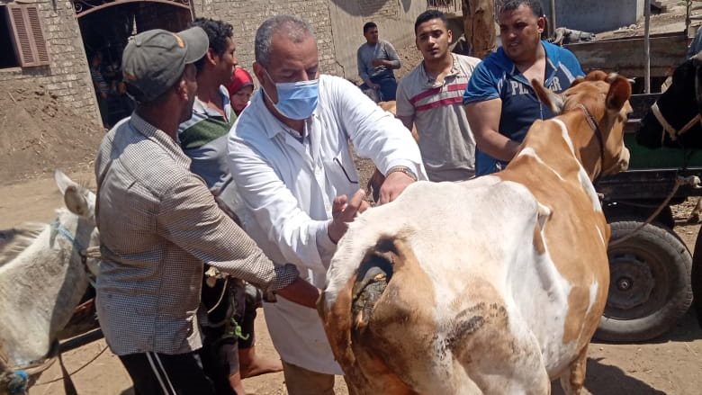قافلة بيطرية بالغربية قافلة بيطرية بالغربية