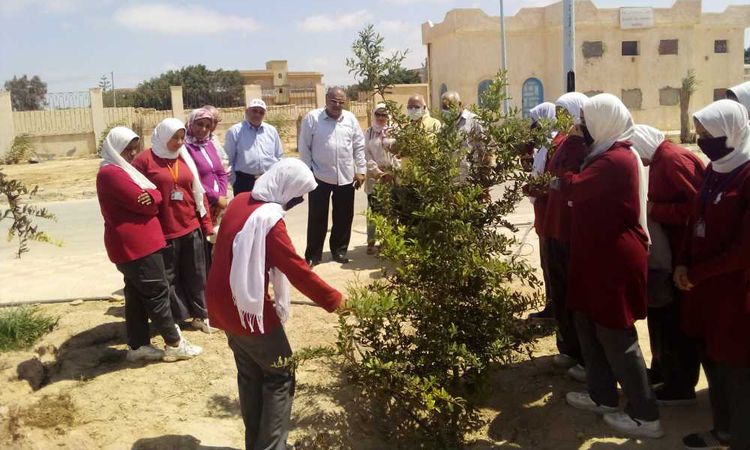 مدرسة الزراعة المطرية